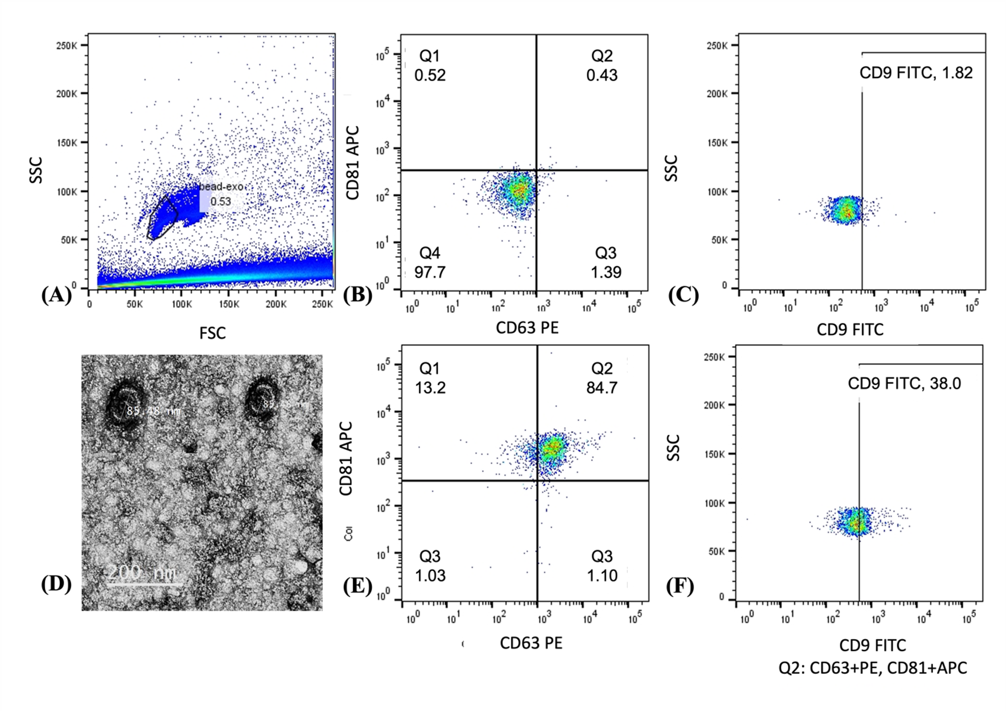 Exosome thu từ tế bào gốc trung mô mô dây rốn kích thích tạo mạch thông qua biểu hiện gen VWF và Flk1 ở tế bào nội mô