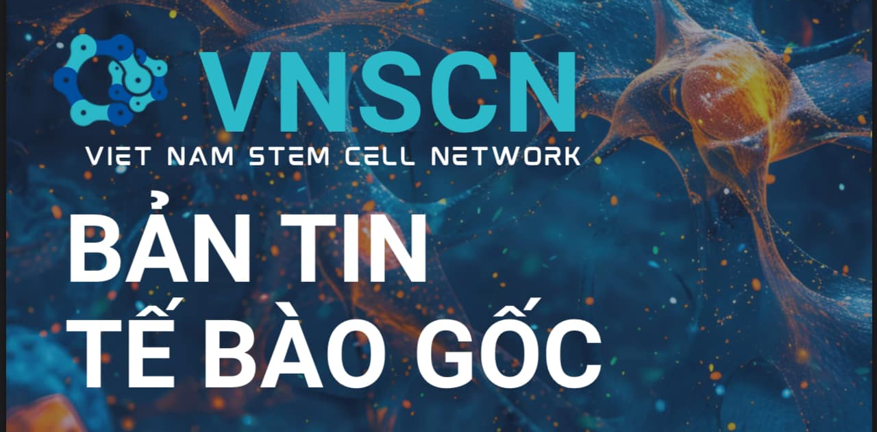 BẢN TIN TẾ BÀO GỐC SỐ 02